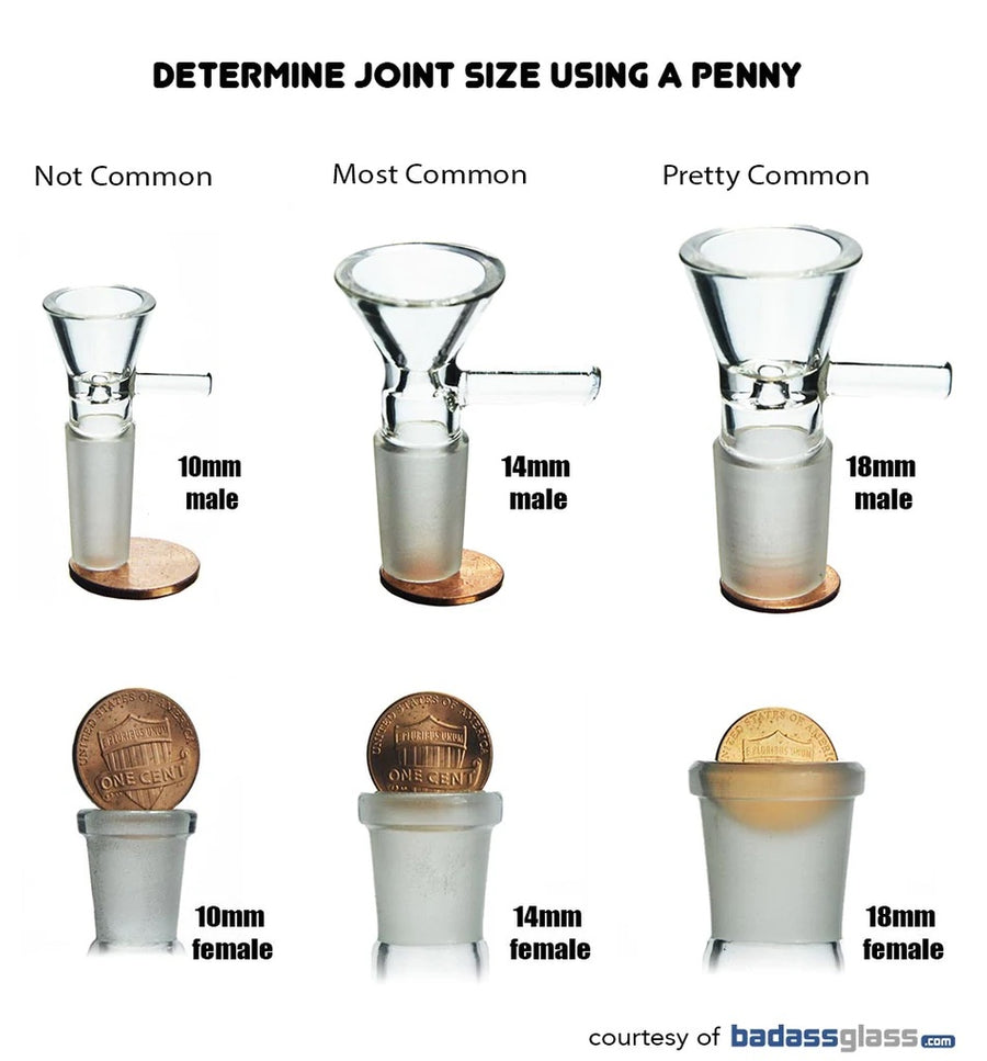 Walnut 1 Joint Slide Display - CHAMPS